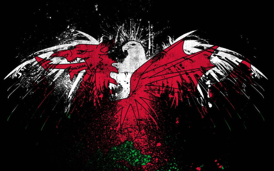 Download free Bird In Palestine Flag Colors Wallpaper - MrWallpaper.com