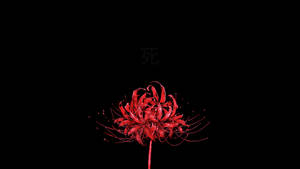 Black And Red Flower Art Wallpaper