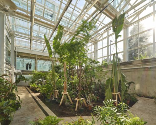 McMaster University Life Sciences Biology Building and Greenhouse