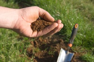 The 2 Best Ways to Test Your Soil pH