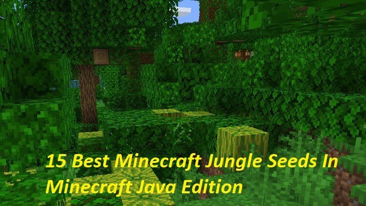 15 Best Jungle Seeds in Minecraft Java Edition - Mundobytes