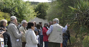 Visita guiada al Jardí Botànic