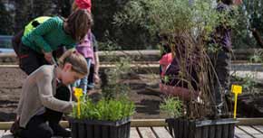 Jugatecambiental del Botànic Històric