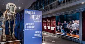 Visita guiada a <i>Natura o Cultura?</i>