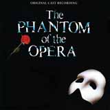 Download or print Andrew Lloyd Webber The Music Of The Night (from The Phantom Of The Opera) Sheet Music Printable PDF -page score for Musical/Show / arranged Pro Vocal SKU: 68453.