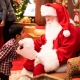 Where to Find Santa in Tampa | Pictures with the Kids + More