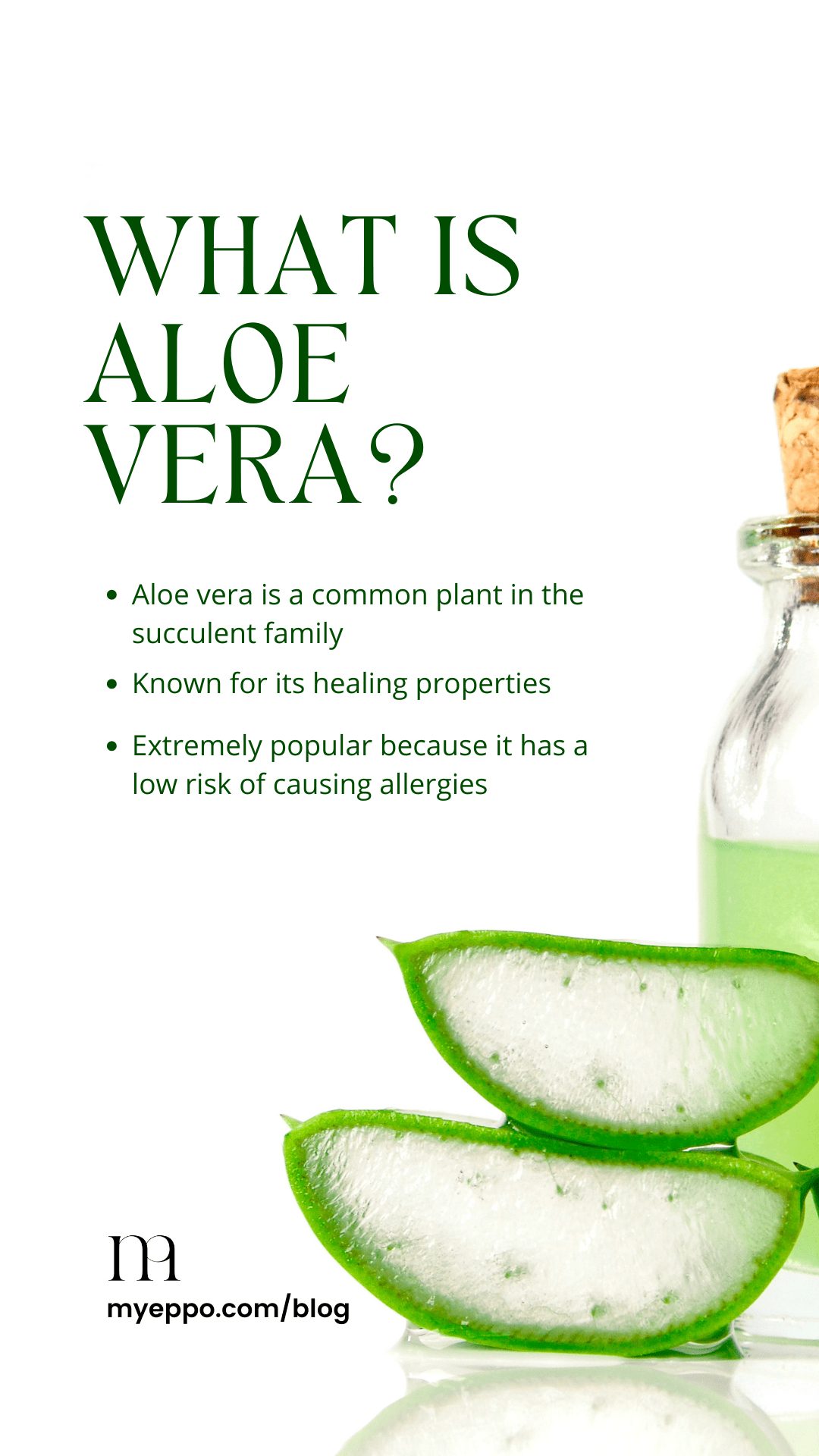 what is aloe vera myeppo