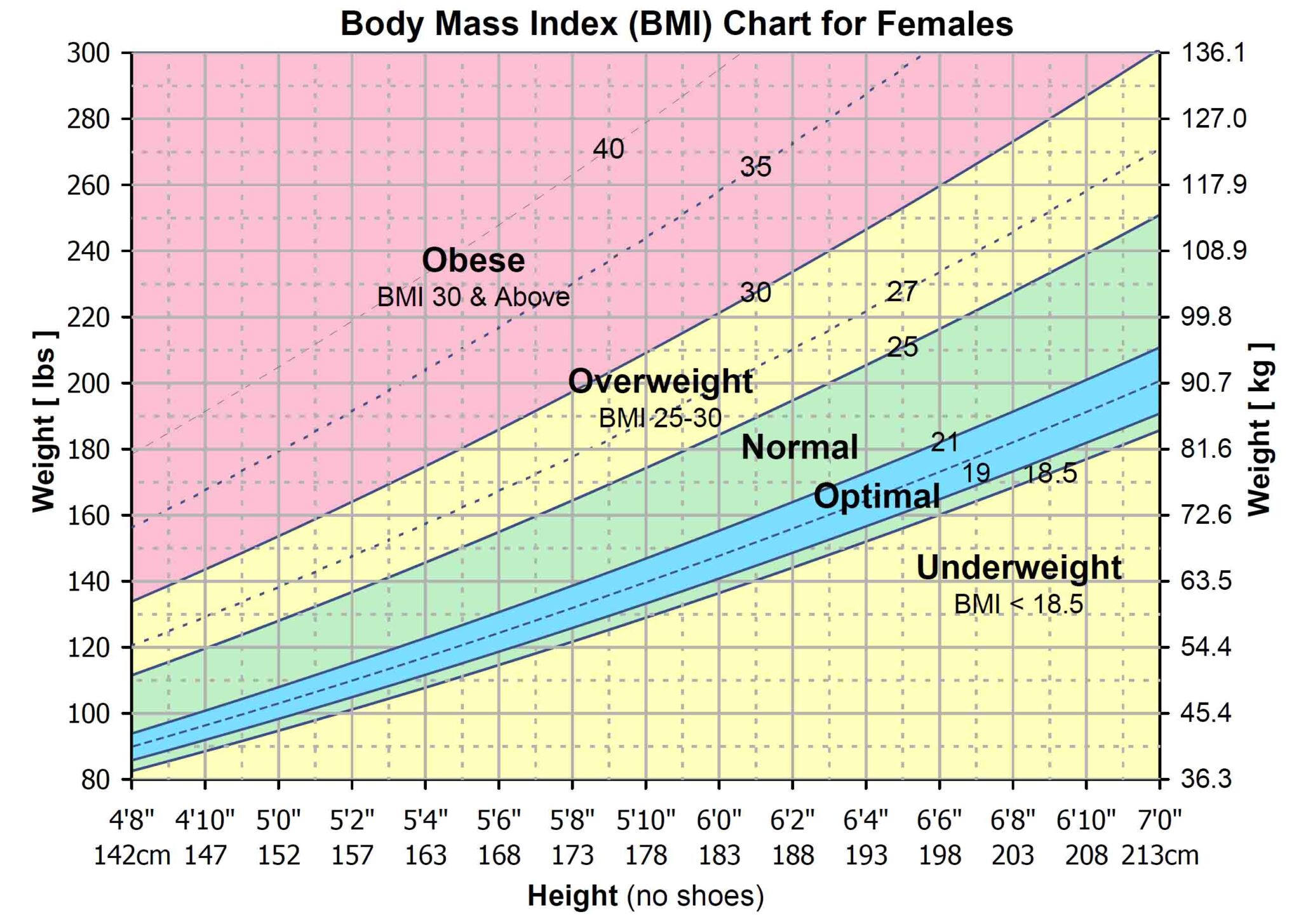 Optimal BMI is Different Than You Think – myHealthSciences