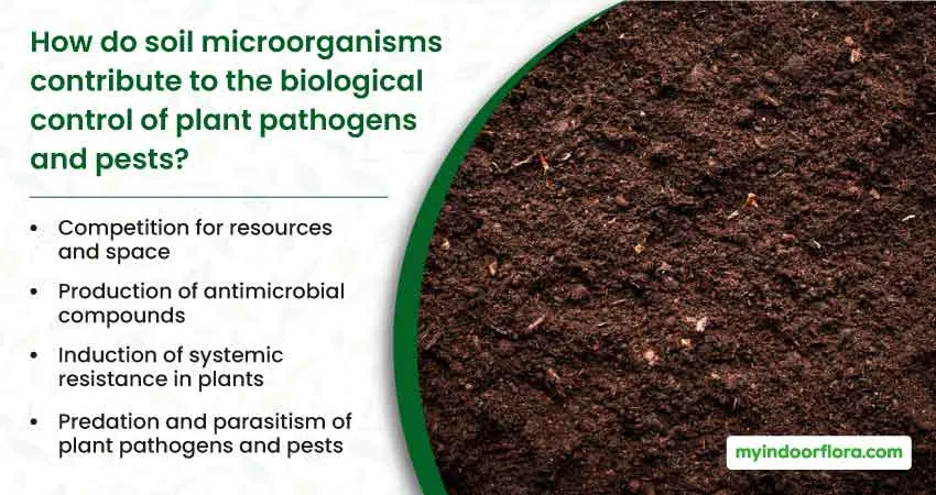 How do soil microorganisms contribute to the biological control of plant pathogens and pests