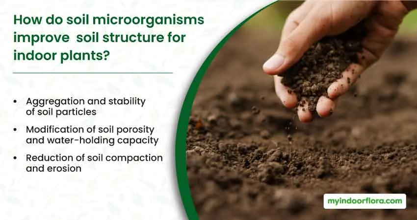 How do soil microorganisms improve soil structure for indoor plants