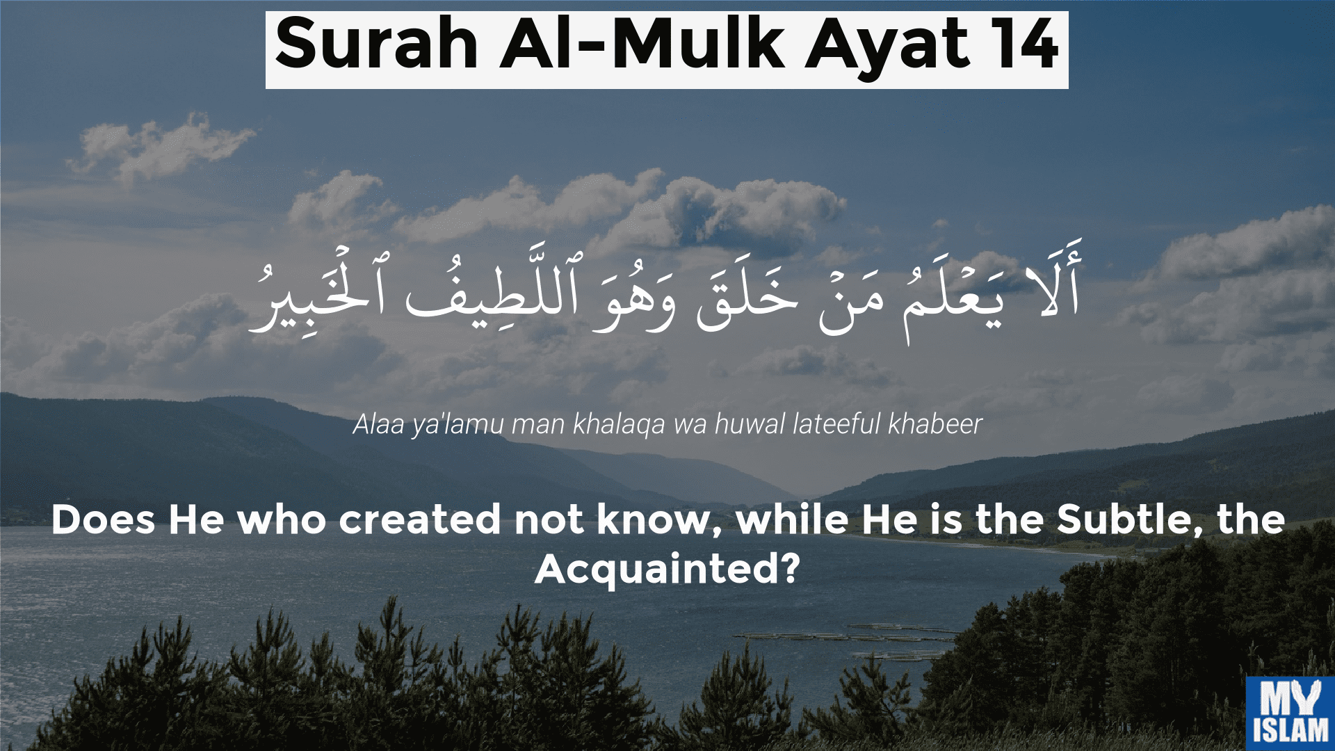 Surah Mulk Ayat 14 Al Mulk Ayat 14 Surah Al Mulk Ayat 14ayat 14 ...