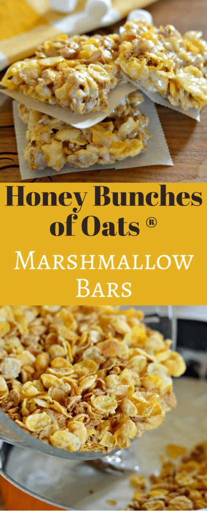 These Honey Bunches of Oats Marshmallow Bars are delicious and easy to make. They are perfect to eat while watching a movie at home or at the movies! 