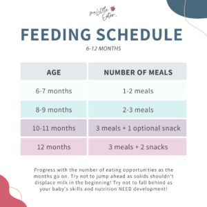 How to set up a feeding schedule for babies 6+ months old