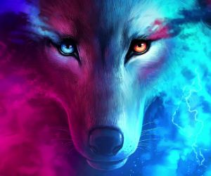 Wolf Eyes Live Wallpaper - MyLiveWallpapers.com