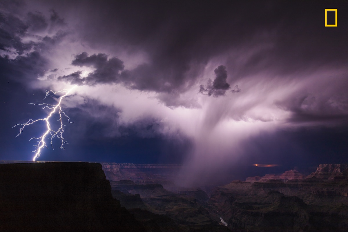 winners National Geographic Nature Photographer of the Year 2017