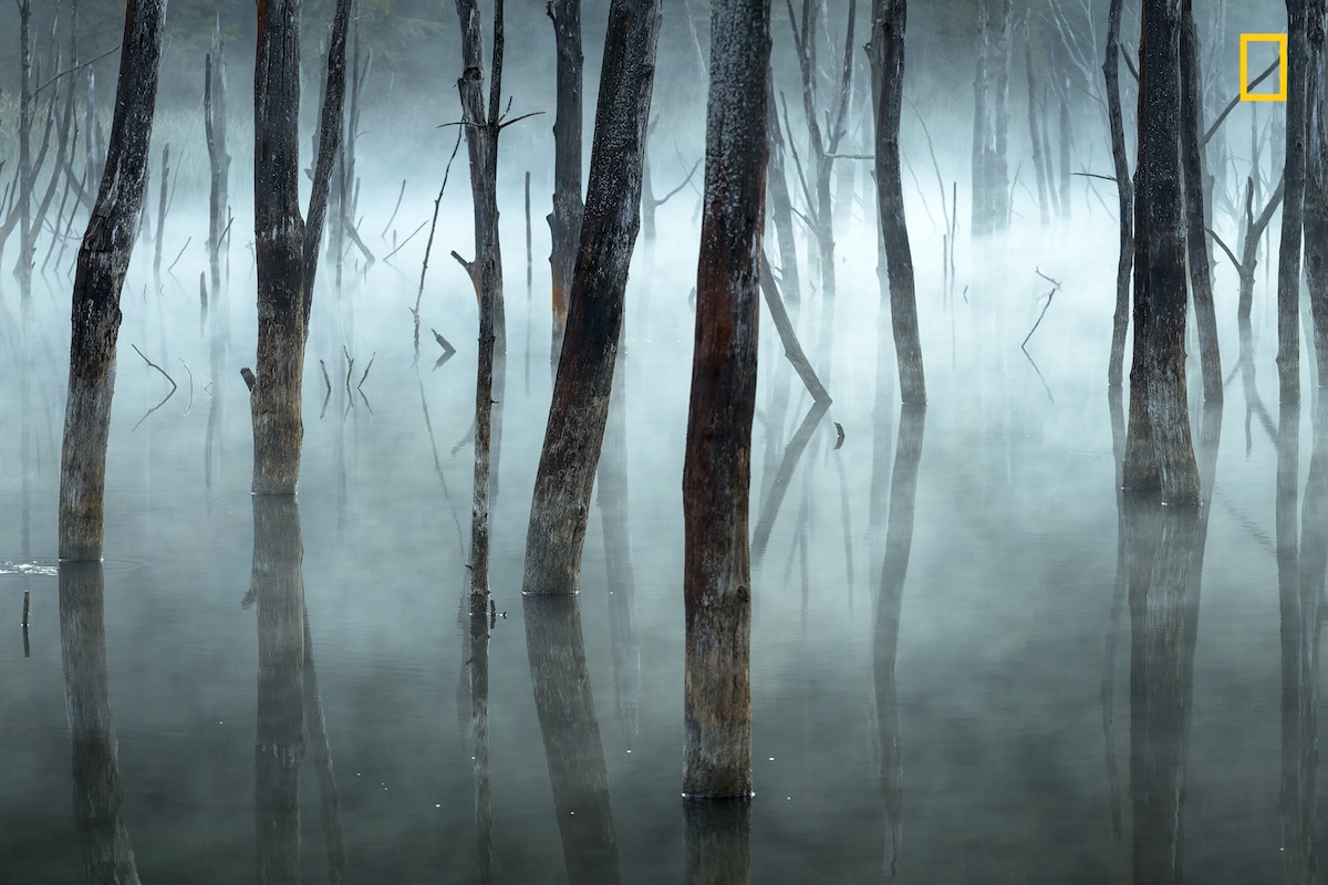 National Geographic Nature Photographer of the Year 2017