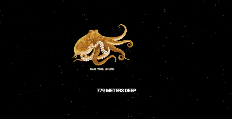 The Deep Sea