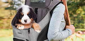 Dog Backpacks.