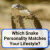 snake personality matches lifestyle