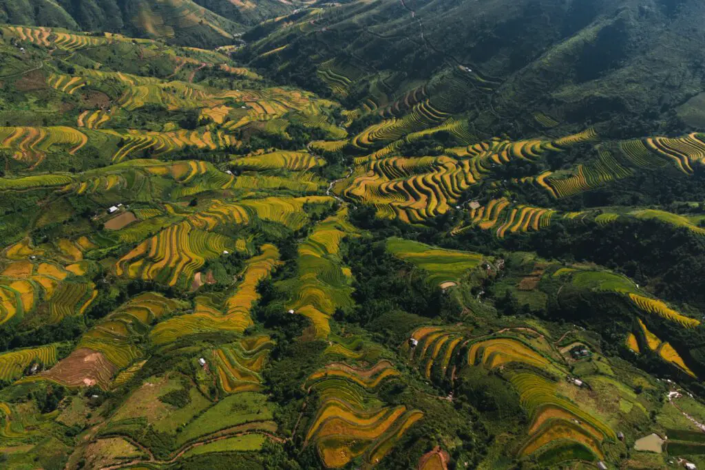 Photo of Banaue