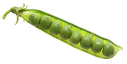 Peas