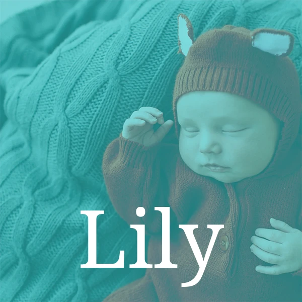 Baby name Lily