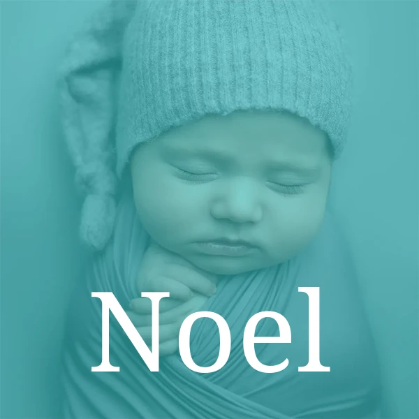 Baby name Noel