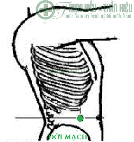 Huyệt đới mạch