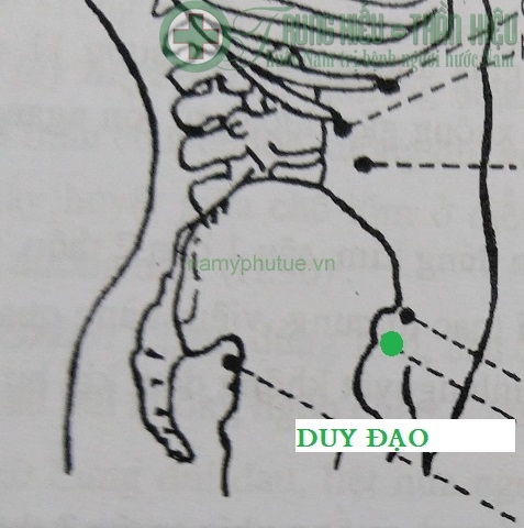 Huyệt duy đạo