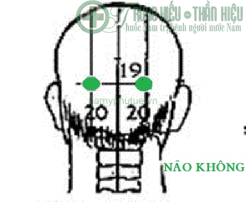 Huyệt não không