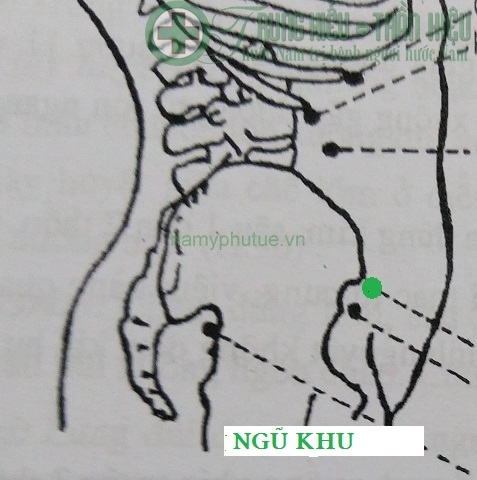 Huyệt ngũ khu