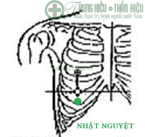 Huyệt nhật nguyệt