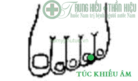 Huyệt túc khiếu âm