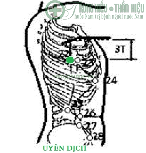 Huyệt uyên dịch