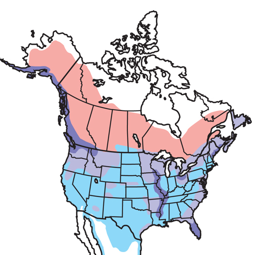 Bald Eagle State Park Map