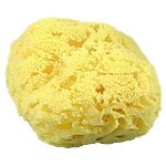 Yellow Sea Sponges for crafts and cleaning