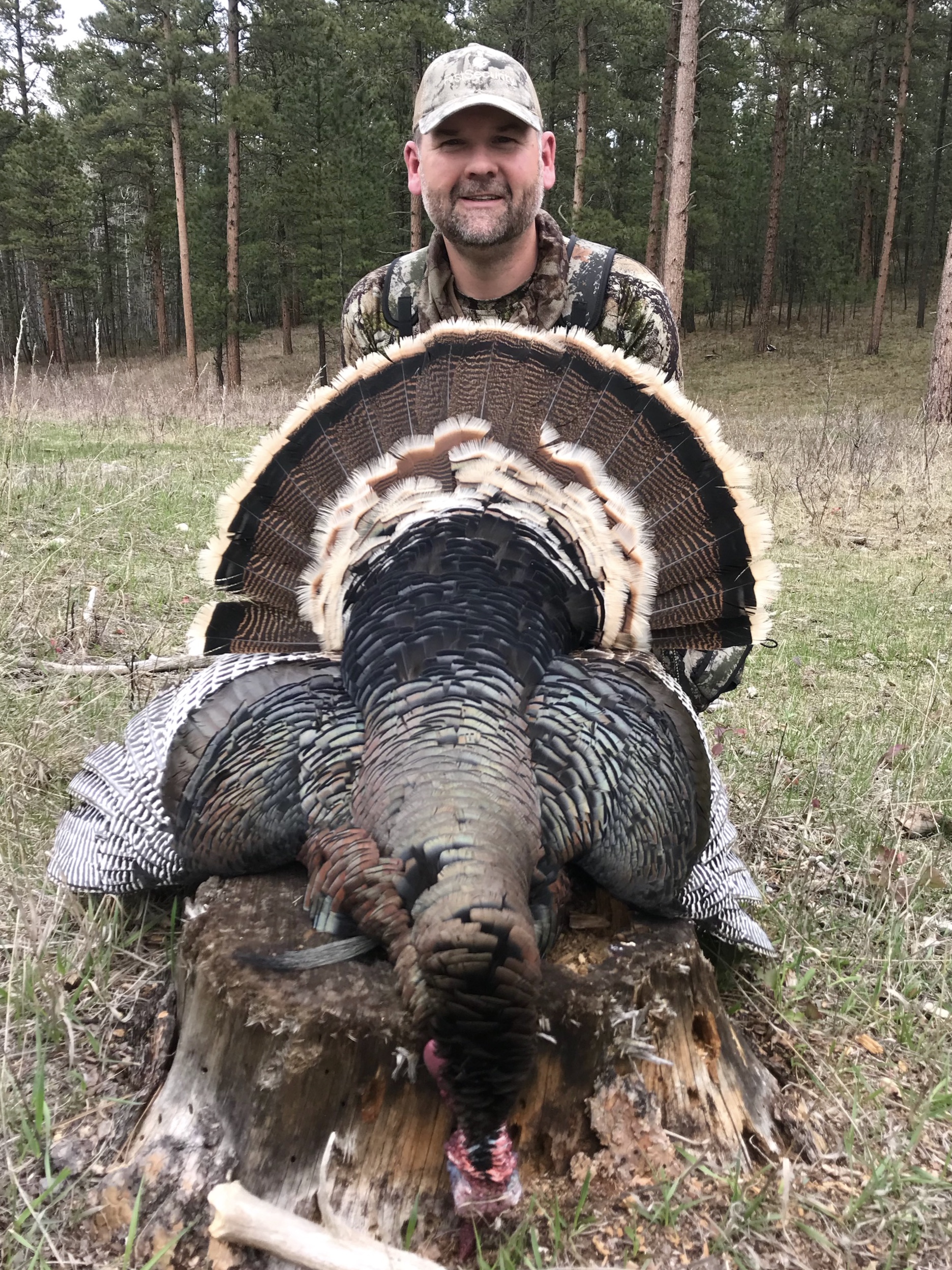 Turkey Hunt in the Black Hills - Natural Gear