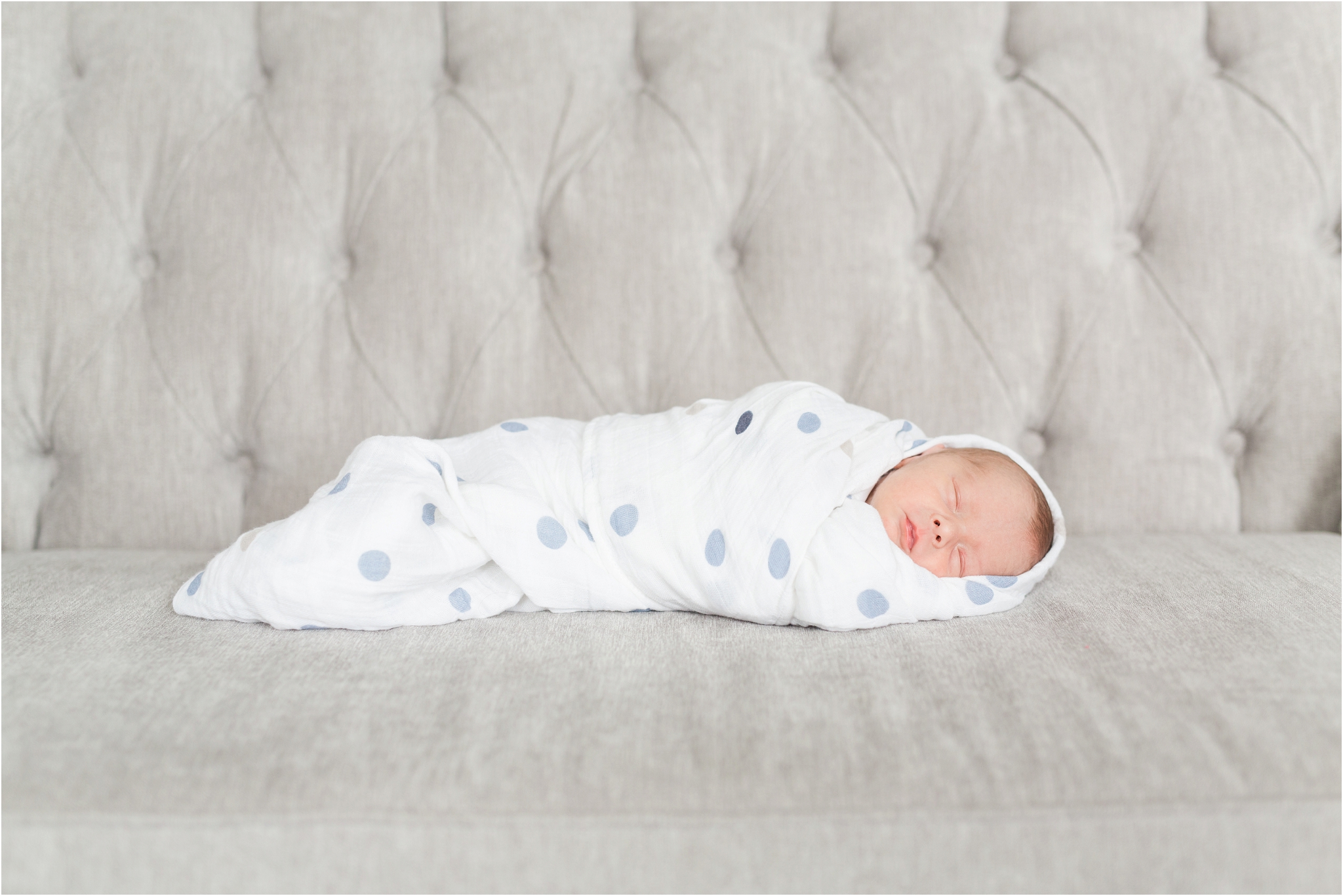 lifestyle newborn photos edmonton