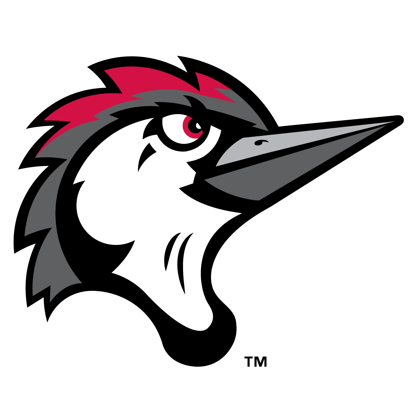 Fayetteville Woodpeckers