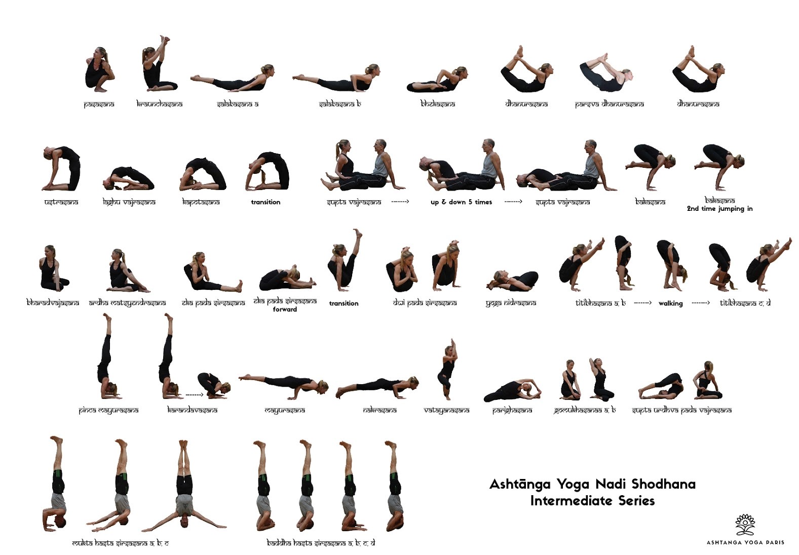 Details more than 153 ashtanga yoga series 2 poses best - kidsdream.edu.vn