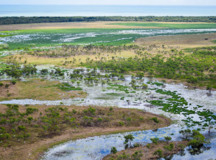 Looking towards the coastline over a Cape York floodplain in the wet season shows a mostly flooded landscape.