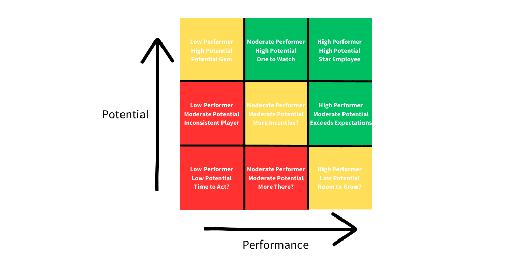 Understanding 9-Box Reporting for Performance Management - Netchex