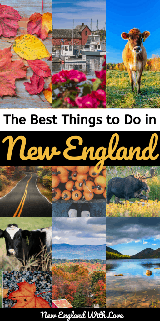 Pinterest graphic reading "The Best Things To Do in New England"