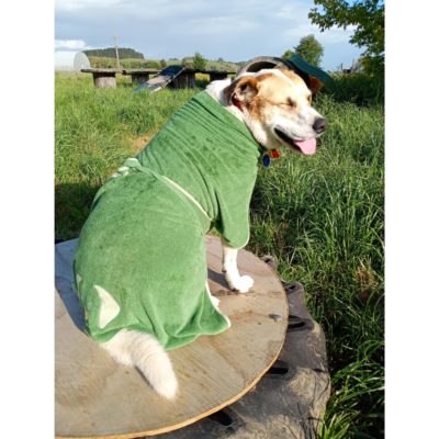 Dog Bathrobe