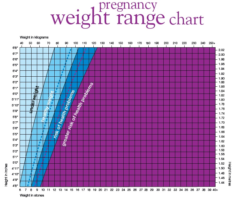 What is healthy weight gain in pregnancy? - New Life Classes