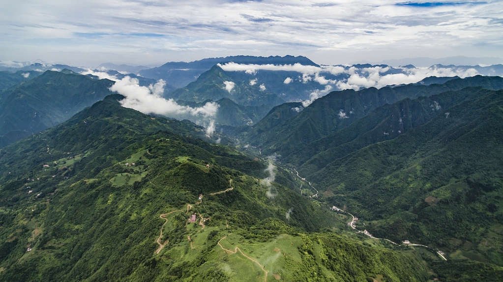 Qinling Mountains. /CFP