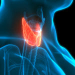 Immunotherapy Shows Potential to Treat Deadly Thyroid Cancer