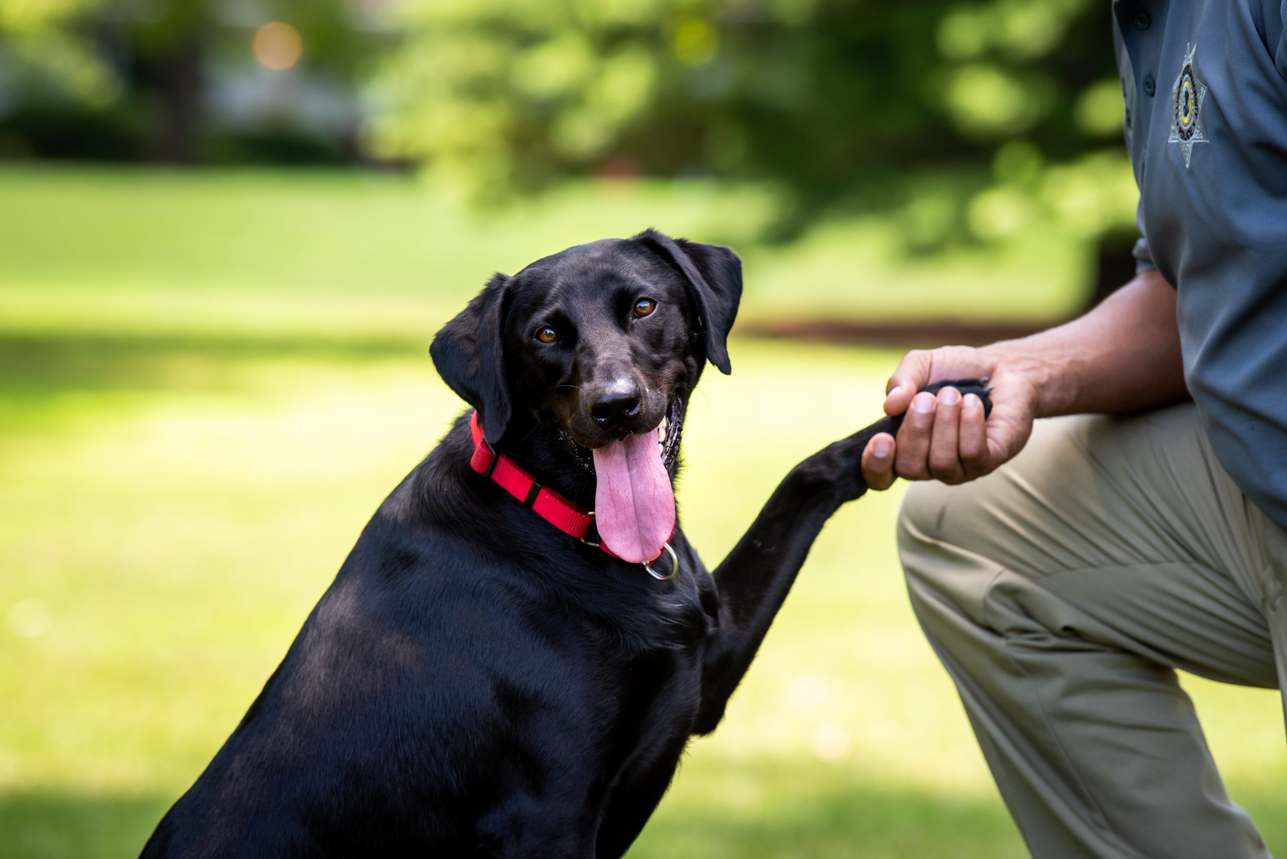 Sage shaking hands with officer