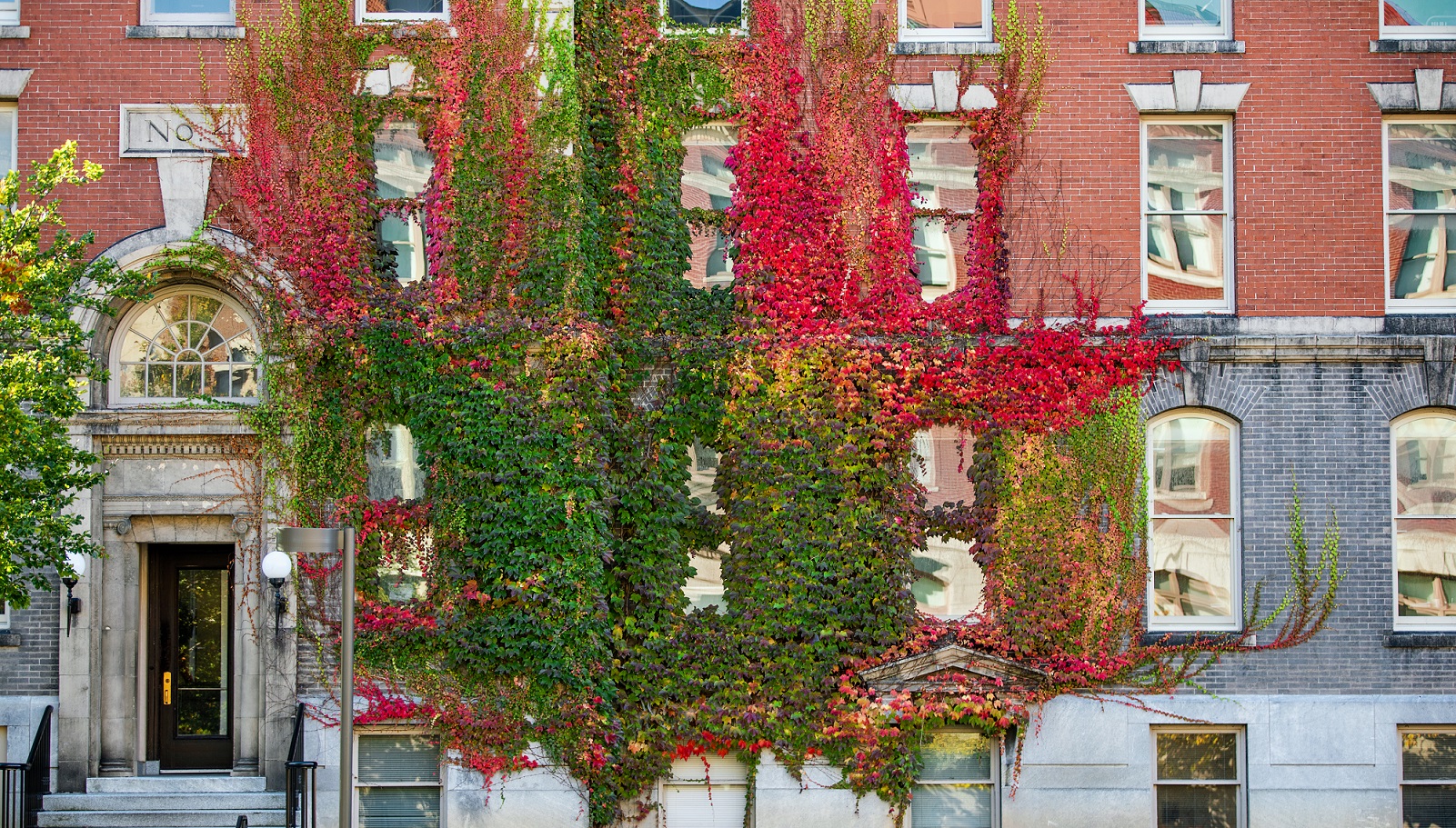 Sims Hall with ivy