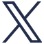 X Icon